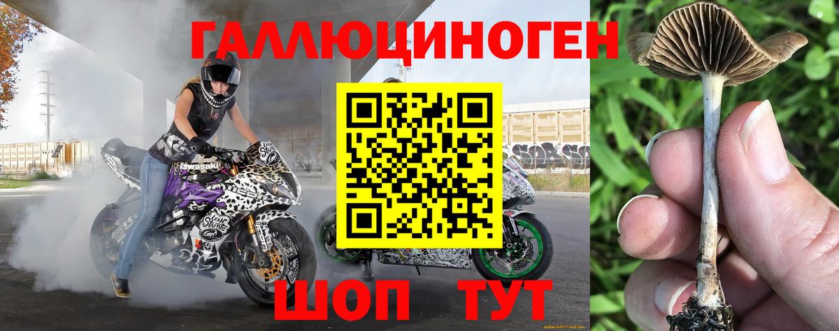 Галлюциногенные грибы мицелий Бугуруслан