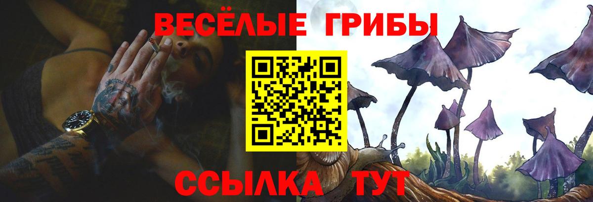 Псилоцибиновые грибы мицелий  Вход с VPN  Бугуруслан 